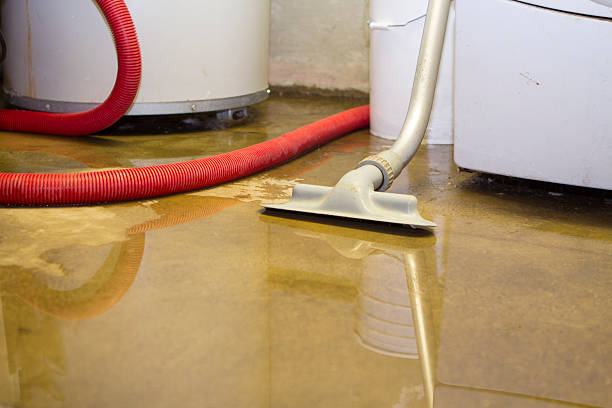 Best Flooded house restoration  in Houston, MS