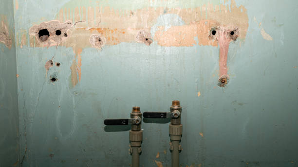 Best Flood damage cleanup  in Houston, MS