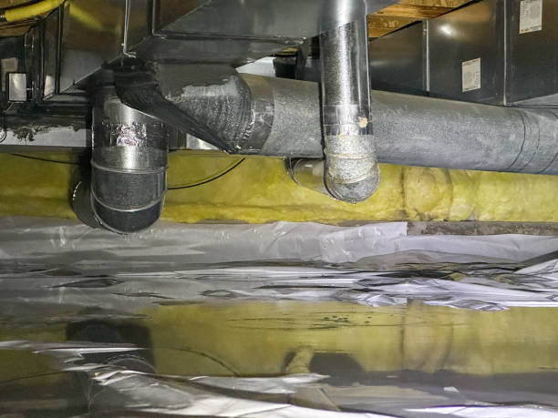 Best Water damage repair service  in Houston, MS