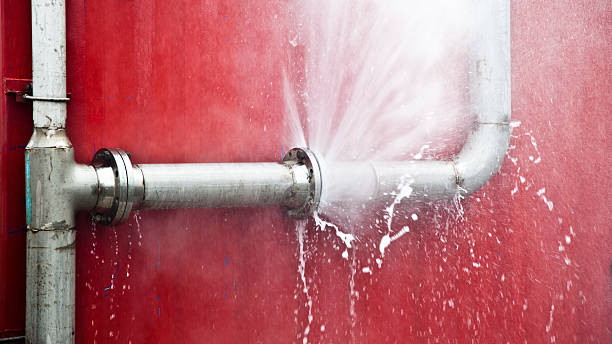 Best Flood restoration services  in Houston, MS